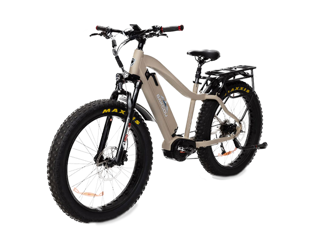 E-Bikes