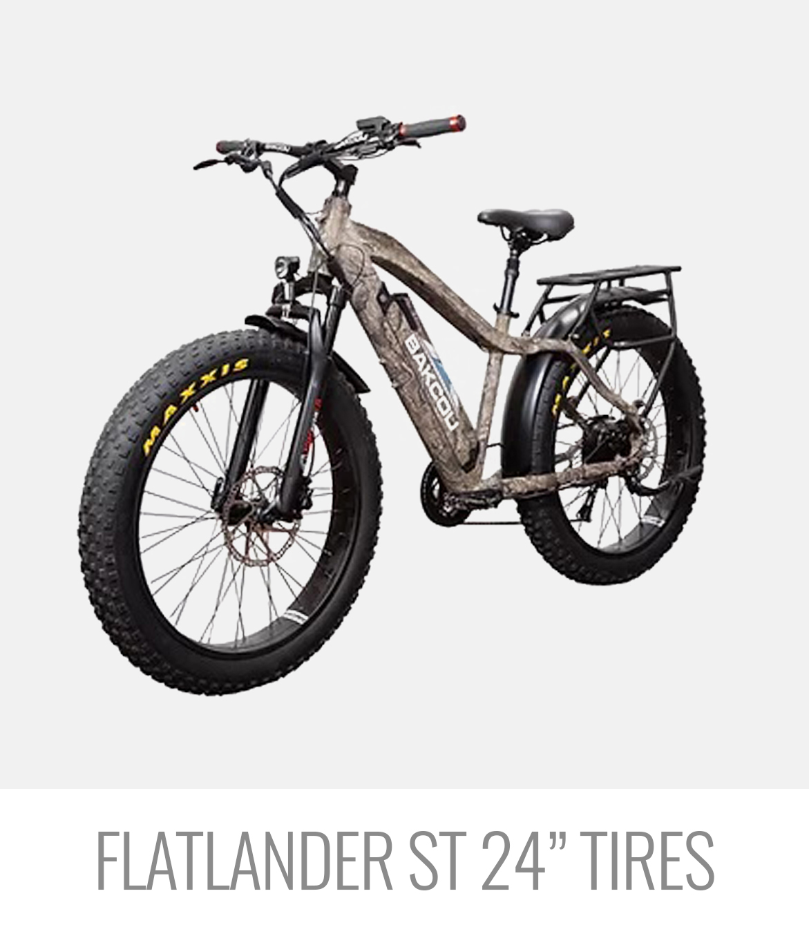 Flatlander Ebike 24